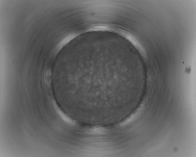 X0000095111233200712071209