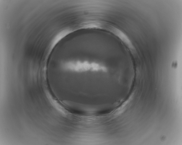 X0000095111234200712071209