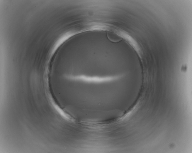 X0000095111235200712071209
