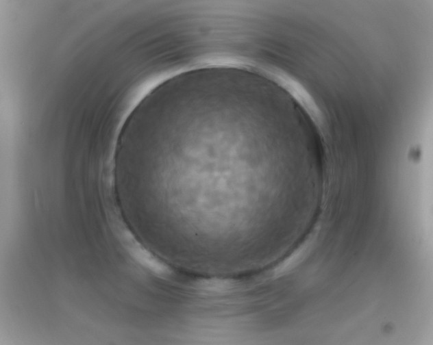 X0000095111236200712071209