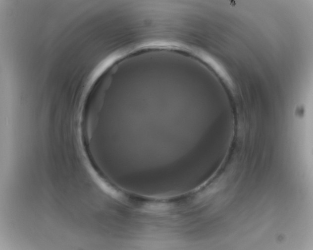 X0000095111237200712071209