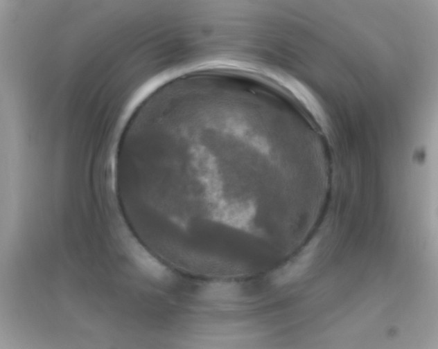 X0000095111238200712071209