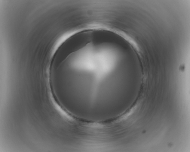 X0000095111239200712071209