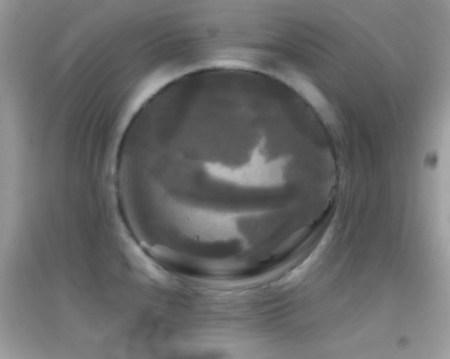 X0000095111240200712071209