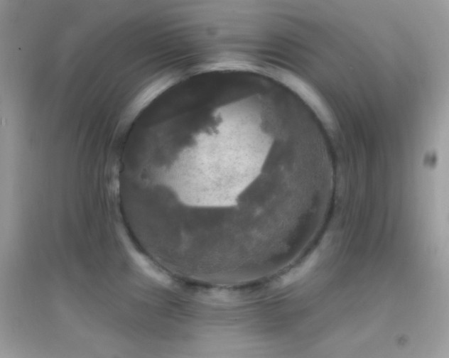 X0000095111241200712071210