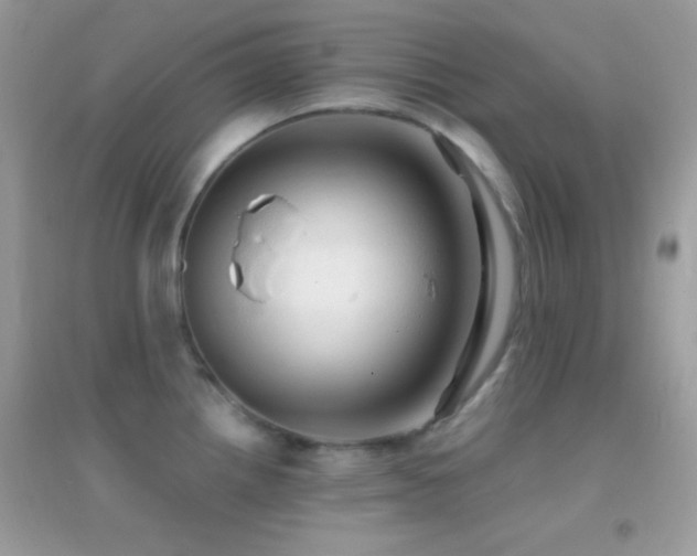 X0000095111242200712071210