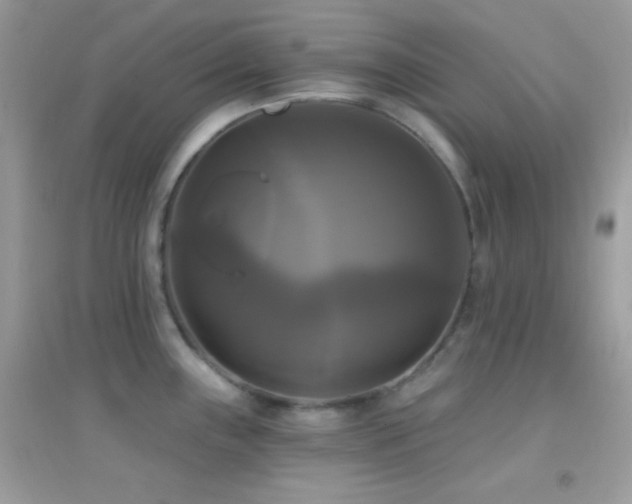 X0000095111243200712071210