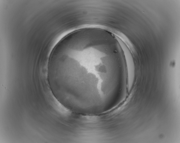 X0000095111244200712071210