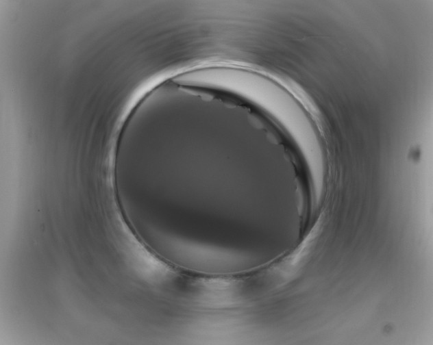 X0000095111246200712071210