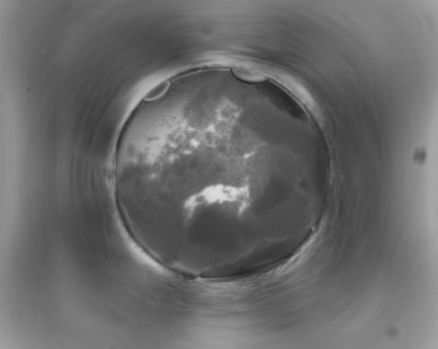 X0000095111247200712071210