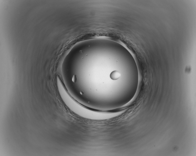 X0000095111249200712071209