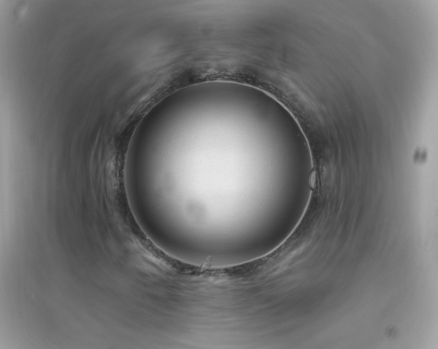 X0000095111250200712071209