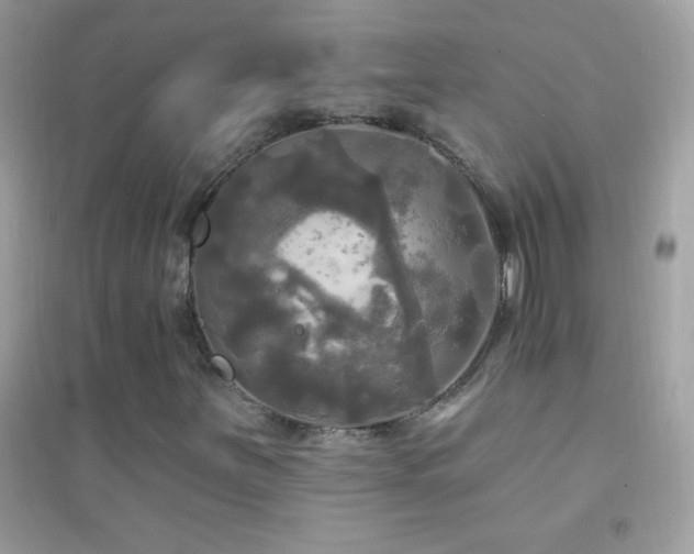 X0000095111251200712071209