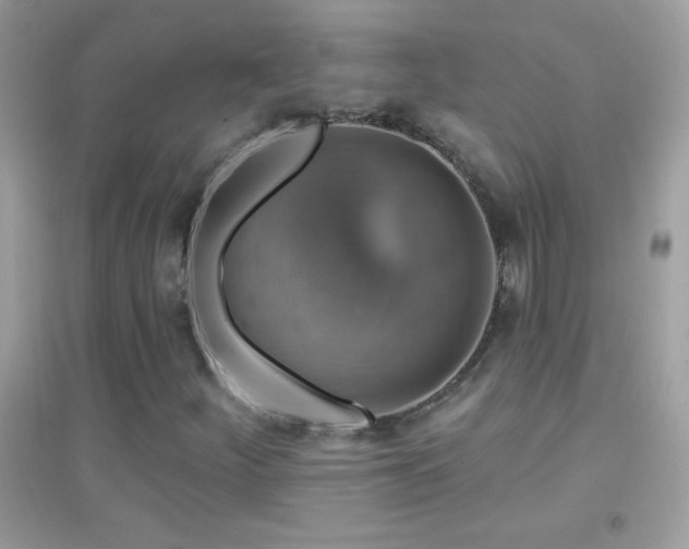 X0000095111252200712071209