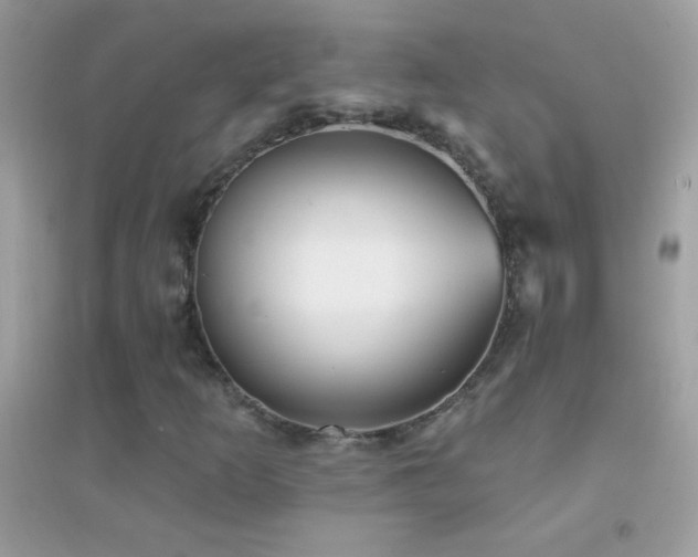 X0000095111253200712071209