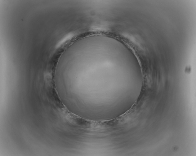 X0000095111254200712071209