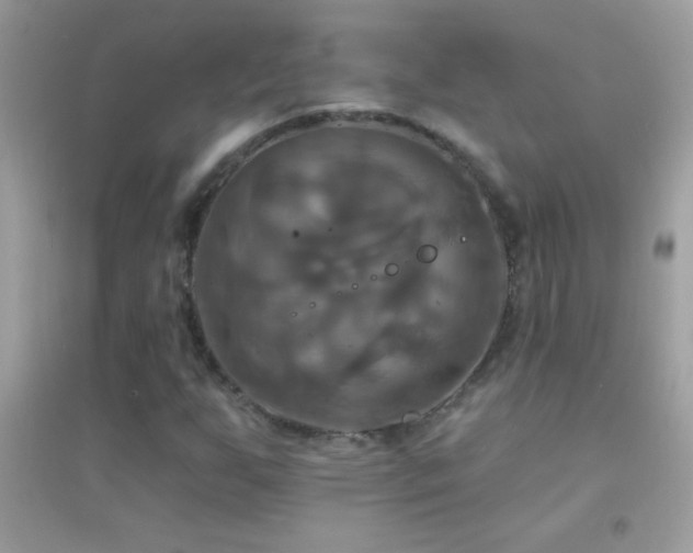 X0000095111255200712071209