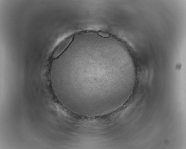 X0000095111256200712071209