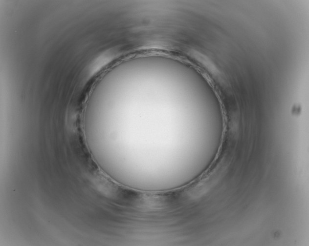 X0000095111258200712071209