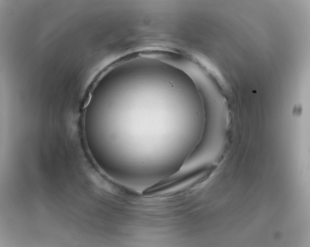 X0000095111260200712071209