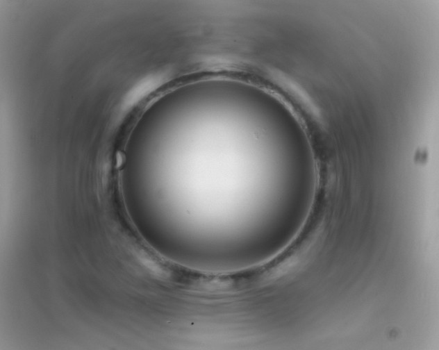 X0000095111261200712071209