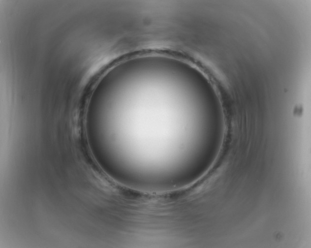 X0000095111262200712071209