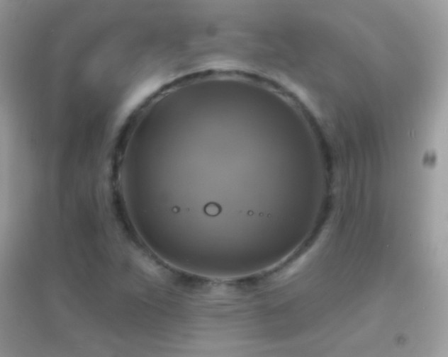 X0000095111263200712071209