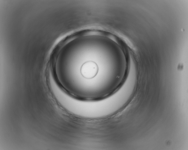 X0000095111264200712071209
