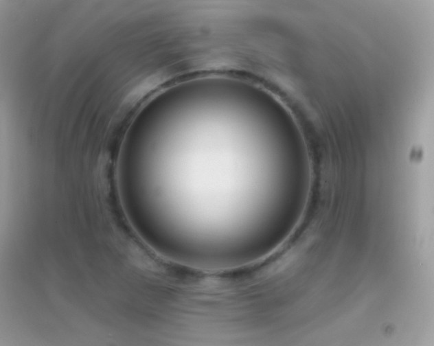 X0000095111265200712071209