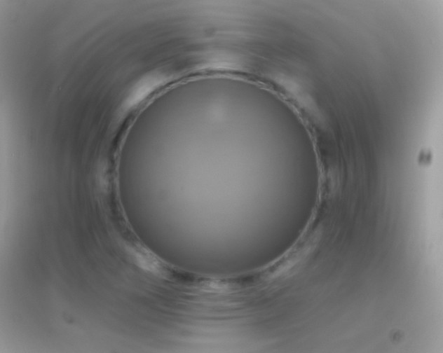 X0000095111266200712071209