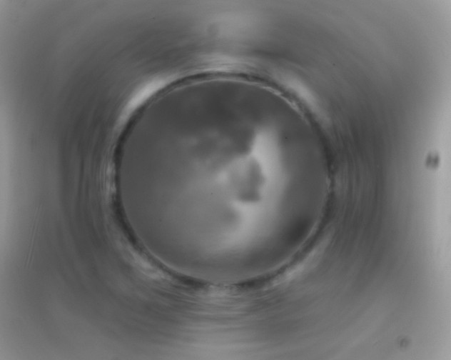 X0000095111267200712071209