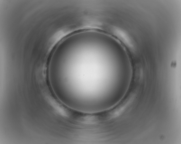 X0000095111268200712071209