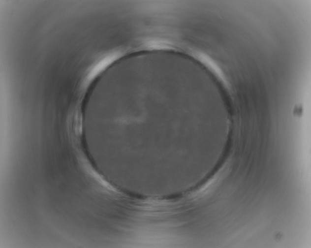X0000095111269200712071209