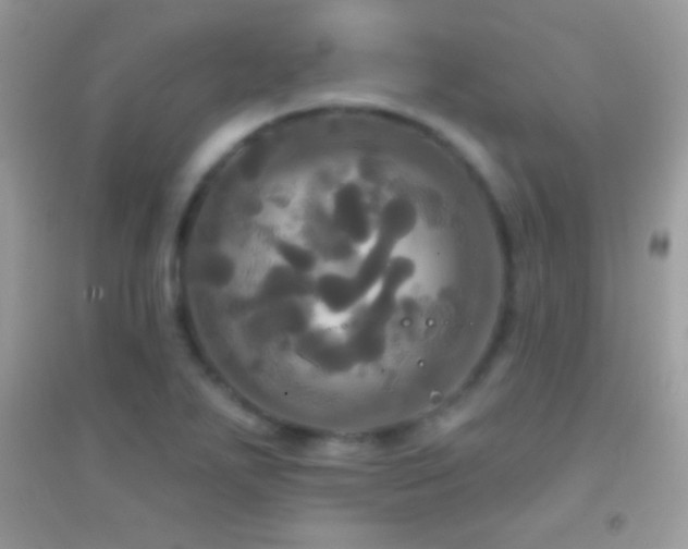 X0000095111271200712071209