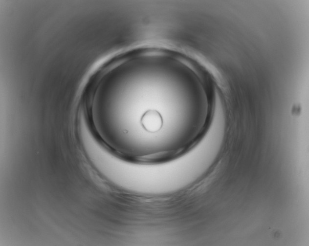 X0000095111272200712071209