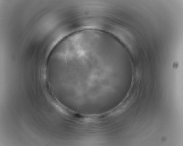 X0000095111274200712071209