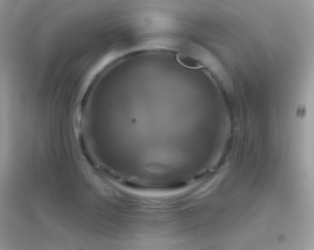 X0000095111275200712071209