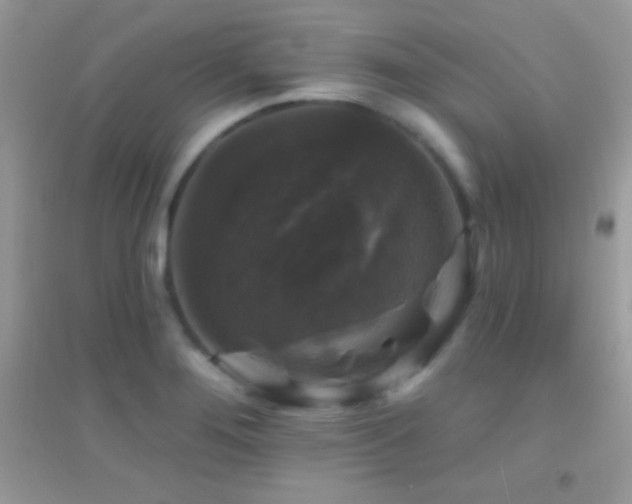 X0000095111276200712071209