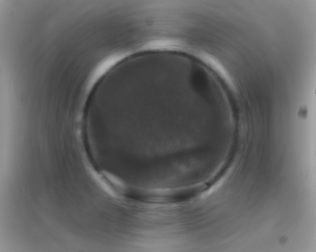 X0000095111277200712071209