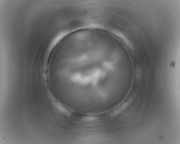 X0000095111278200712071209