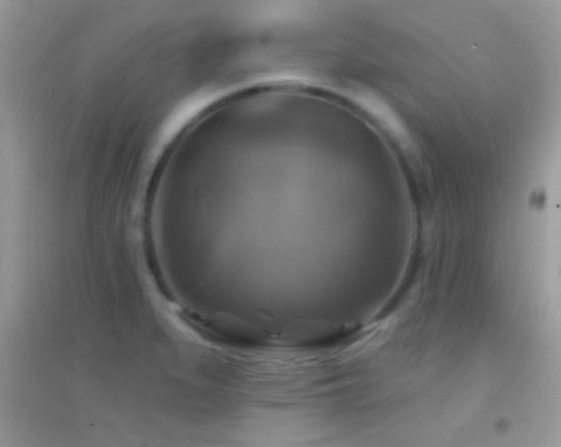 X0000095111279200712071209