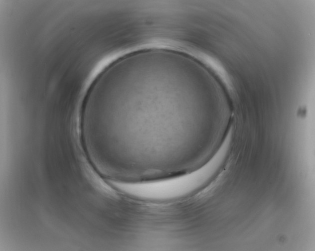 X0000095111280200712071209