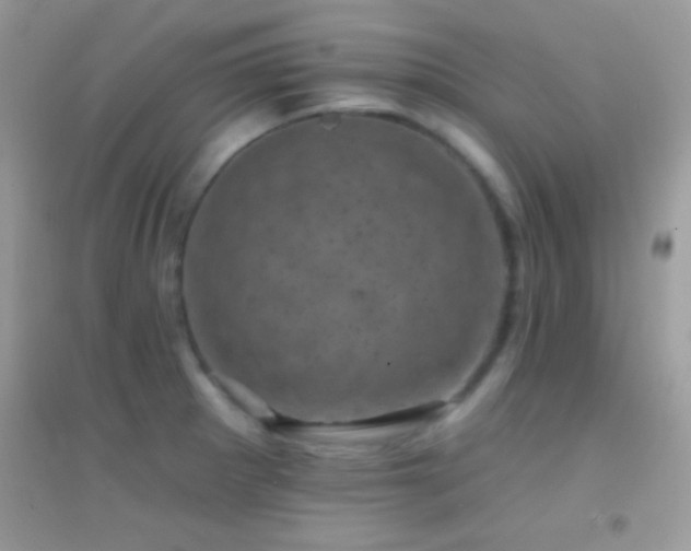 X0000095111281200712071208