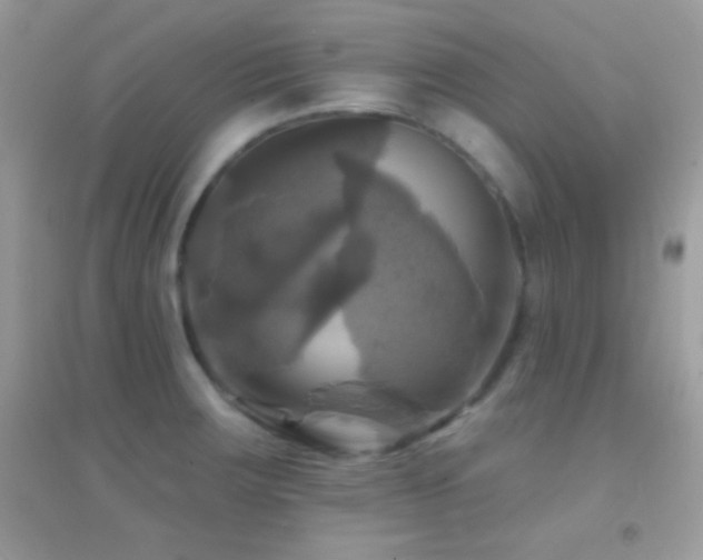 X0000095111283200712071208