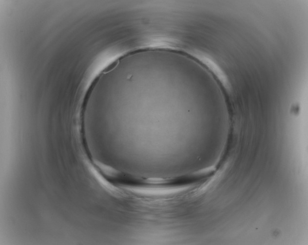 X0000095111285200712071208