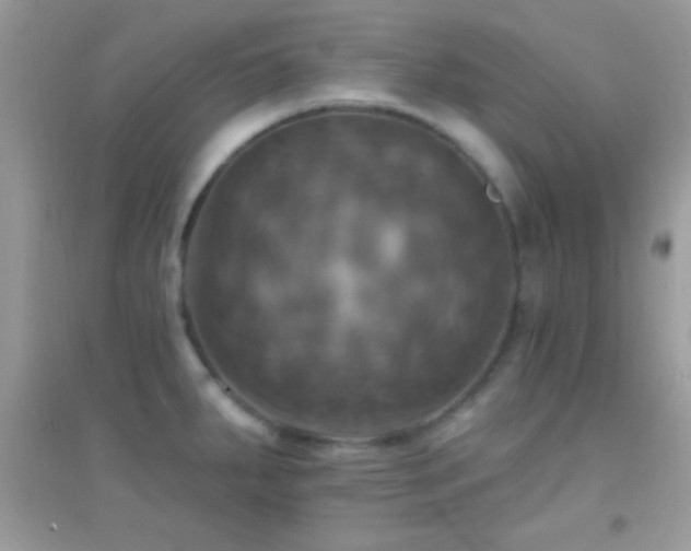 X0000095111287200712071208