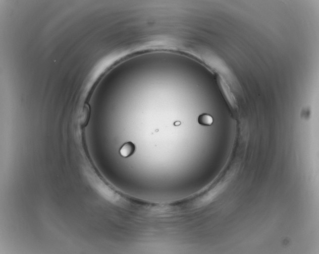 X0000095111288200712071208