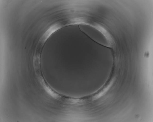 X0000095111289200712071208