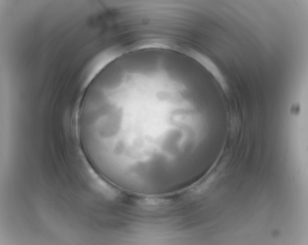 X0000095111290200712071208
