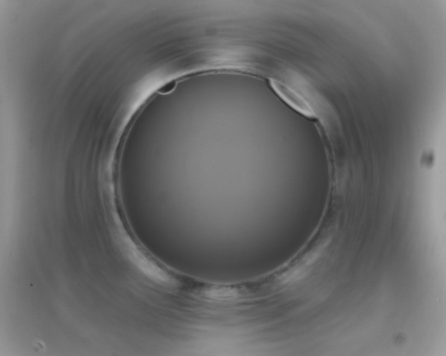X0000095111291200712071208